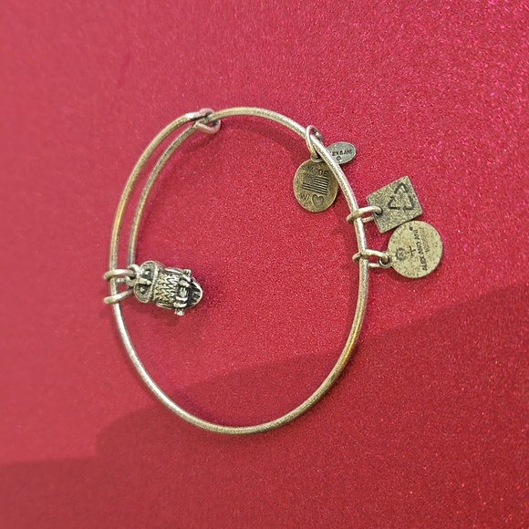 Alex and Ani Jewelry - Alex and ani bracelet owl jo35